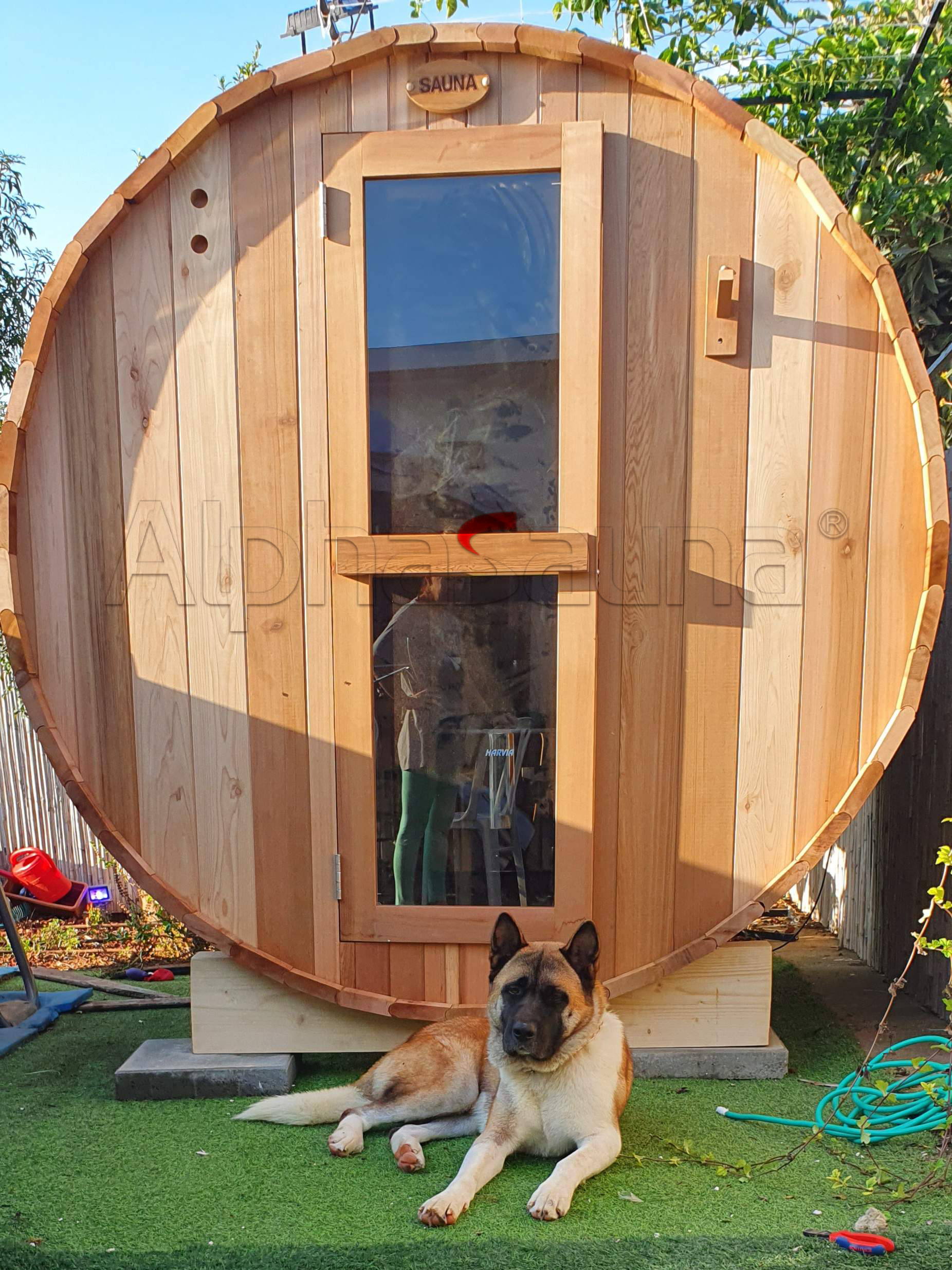 jacuzzi clearlight sauna