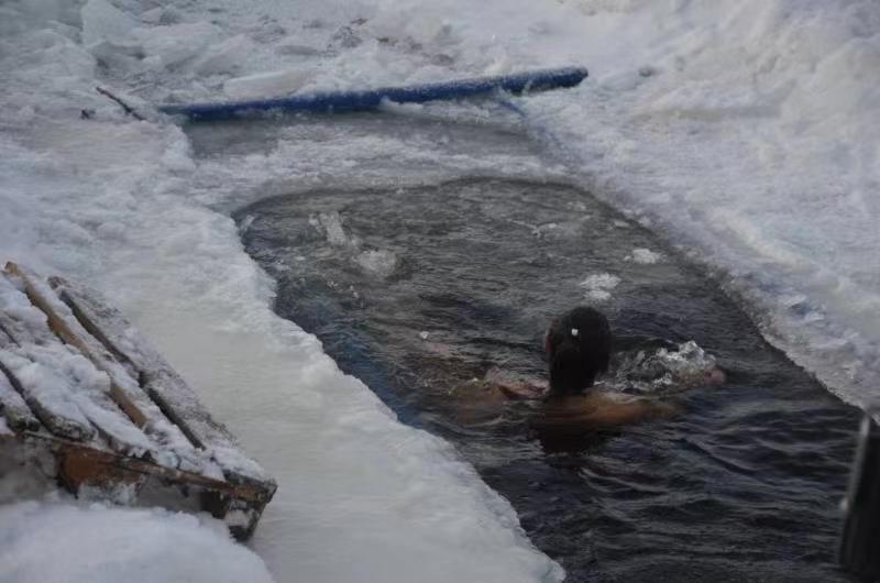 ice bath chest freezer