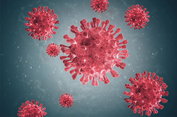 alphasauna_virus