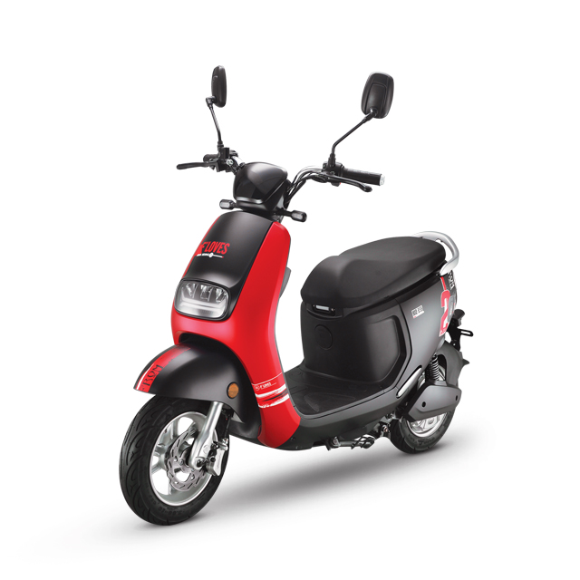 Lithium Battery Electric Bicycle