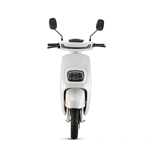 Electric Scooter Motorcycle Adult