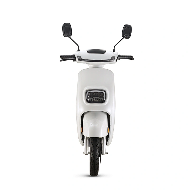 Electric Scooter Motorcycle Adult