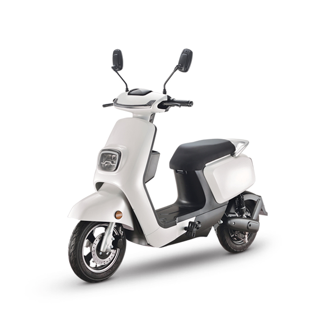Electric Scooter Motorcycle Adult