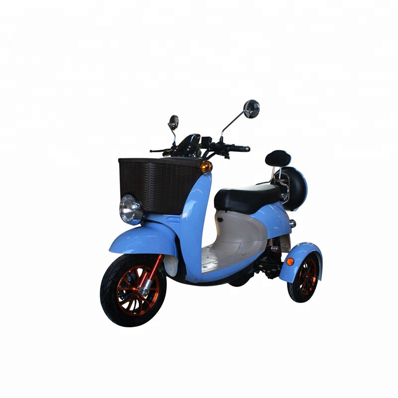 Mini passenger electric closed tricycle