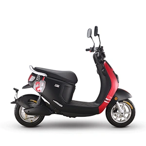Lithium Battery Electric Bicycle