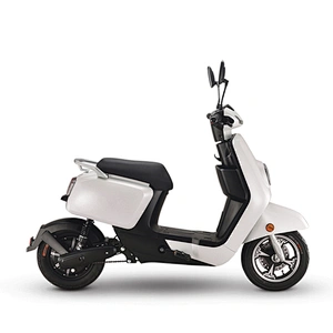 Electric Scooter Motorcycle Adult