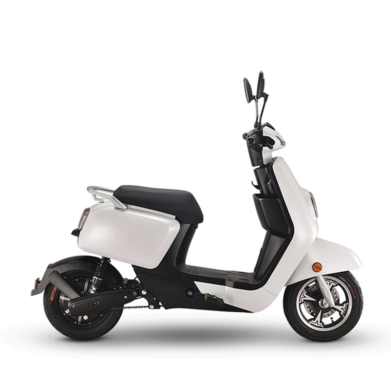 Electric Scooter Motorcycle Adult