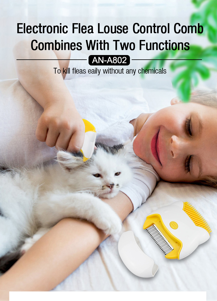 electric flea comb manuafacturer