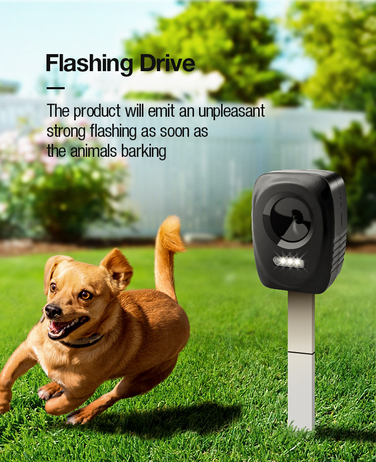 anti barking device manufacturer
