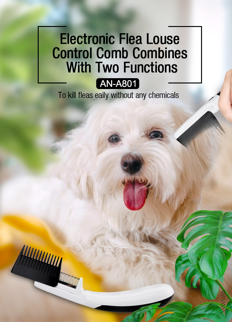 electric flea comb manuafacturer