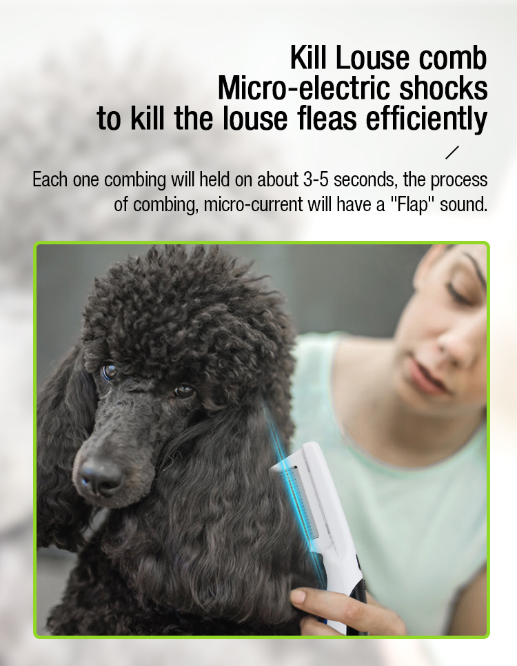 electric flea comb manuafacturer