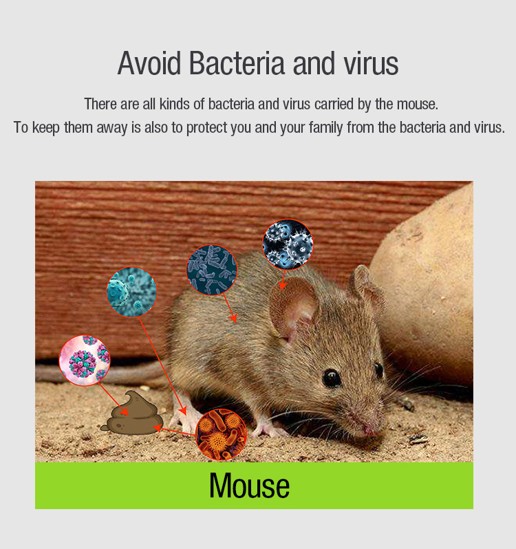Rodent Killer