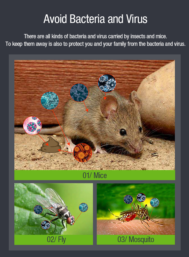 bed bugs repeller