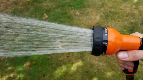 get rid of bugs