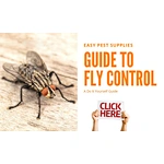 Exactly how to remove flies indoor and outdoor