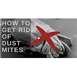 How to Get Rid of Dust Mites?