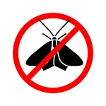 How to Get Rid of Moths in Every Part of Your Home