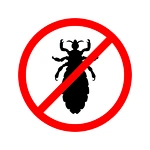 How to get rid of fleas on your cats fast?