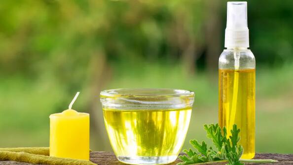 how to get rid of gnats