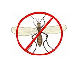 How to Get Rid of Gnats Inside Your House?