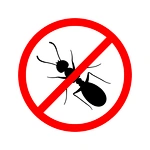 How to get rid of ants naturally in Your Yard and Home?