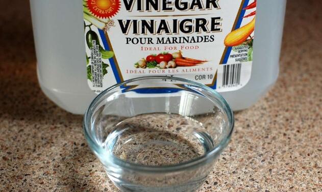 how to get rid of ants