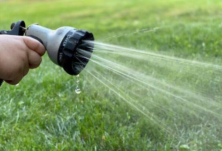 how to get rid of ants