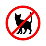 How to Get Rid of Stray Cats from Your Garden And Lawn?