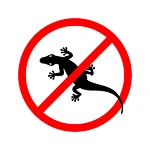 How to Get Rid of Lizards Quickly and Humanely?