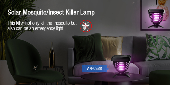 how to get rid of gnats