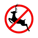 How to get rid of deer in your garden friendly and fast?