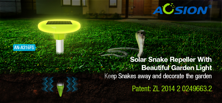 get rid of snakes