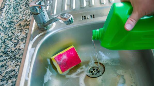 how to get rid of gnats