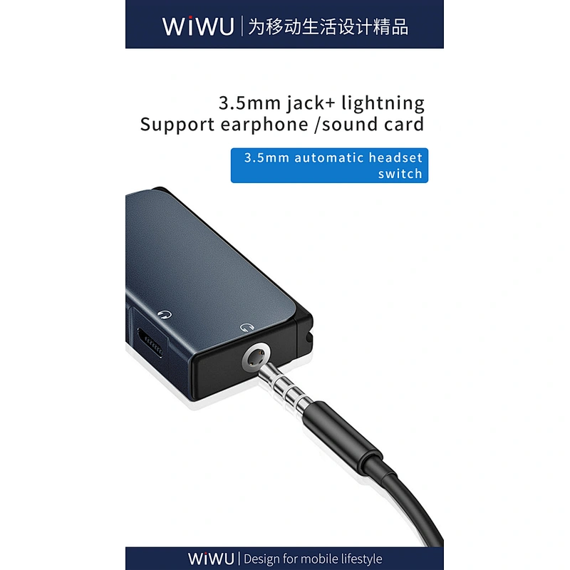 Type C Audio Adapter