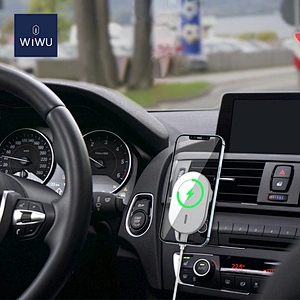 CH-306 Car mount