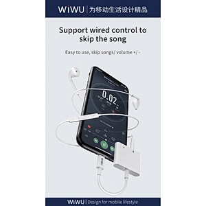 iPhone Audio Adapter