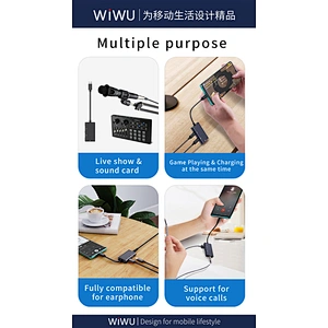 Type C Audio Adapter