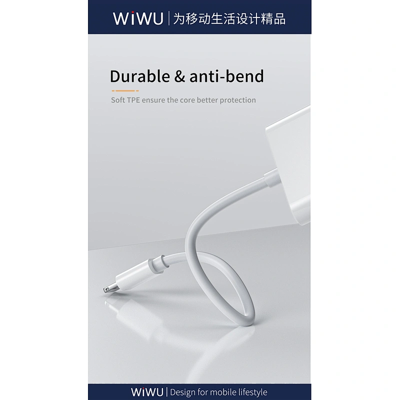 iPhone Audio Adapter