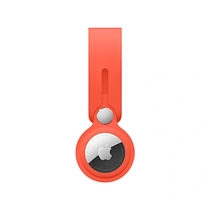 Silicon Loop for airtag