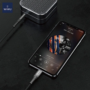 YP03 Audio Cable