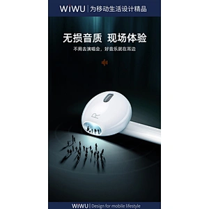Type C Audio Earphone 
(NOT  BT)