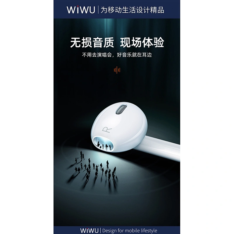Type C Audio Earphone 
(NOT  BT)