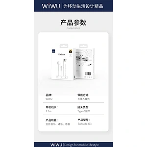 Type C Audio Earphone 
(NOT  BT)