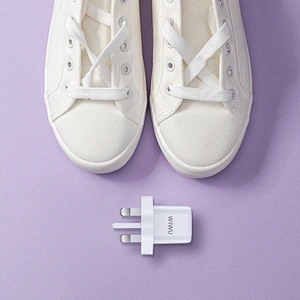 RY-U30 Wall Charger