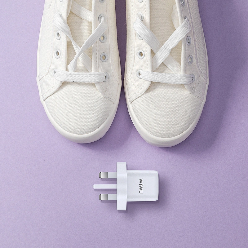 RY-U30 Wall Charger