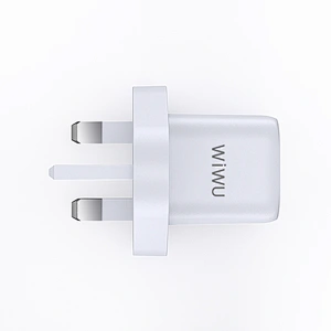 RY-U30 Wall Charger