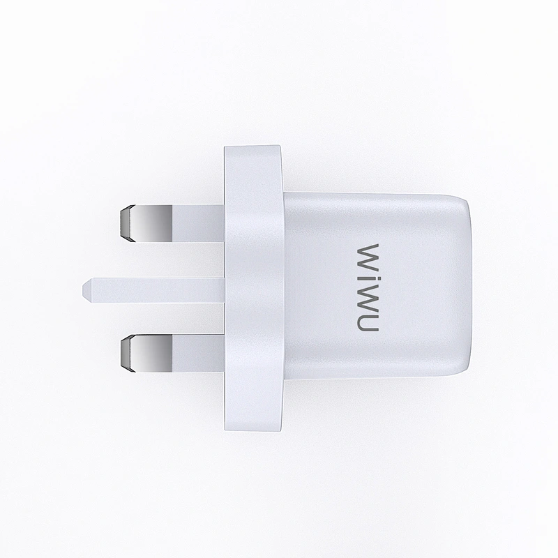 RY-U30 Wall Charger