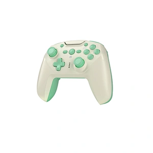 Nintendo Switch Wireless controller