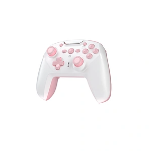 Nintendo Switch Wireless controller