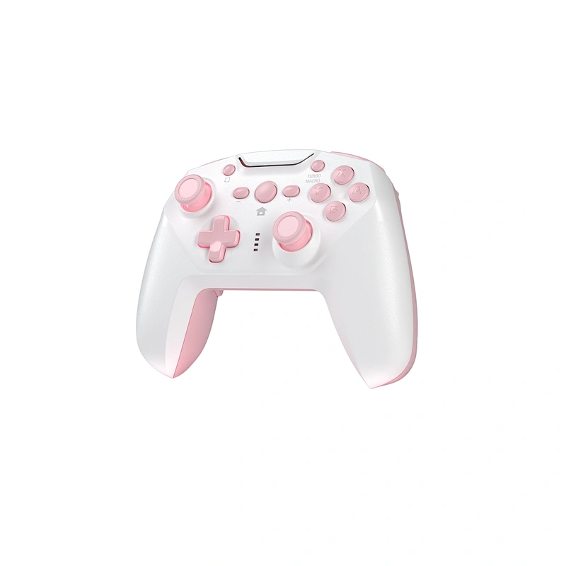 Nintendo Switch Wireless controller